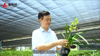 一場蘭花的奇妙之旅，帶您領(lǐng)略國蘭風(fēng)采！