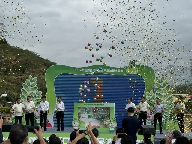 小油柑帶動(dòng)大致富，汕尾陸河田墩變“甜”墩