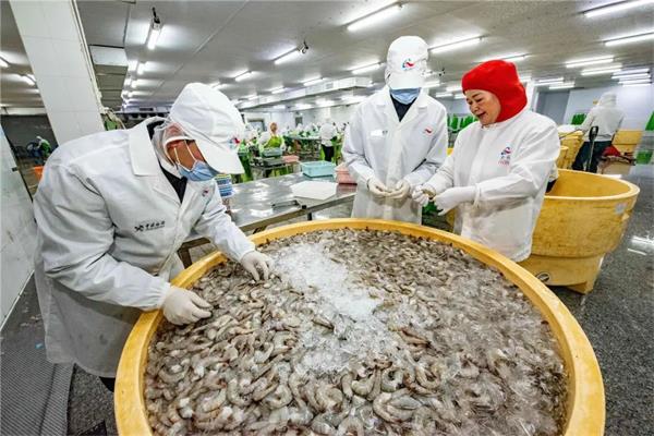 “魚鮮蟹肥”撲騰出海！汕頭海關(guān)助牛田洋水產(chǎn)出口