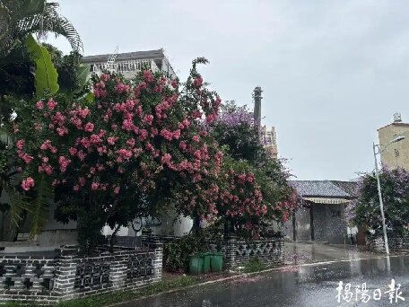 揭陽(yáng)各鎮(zhèn)街多舉措齊發(fā)力，擦亮城市文明底色