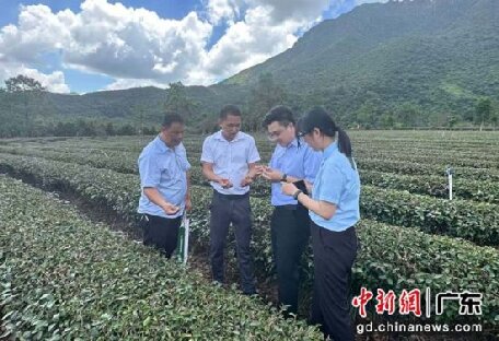 金融賦能產(chǎn)業(yè)發(fā)展 助汕尾推動(dòng)“百千萬工程”