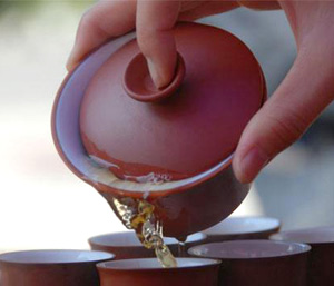 茶樂(lè)